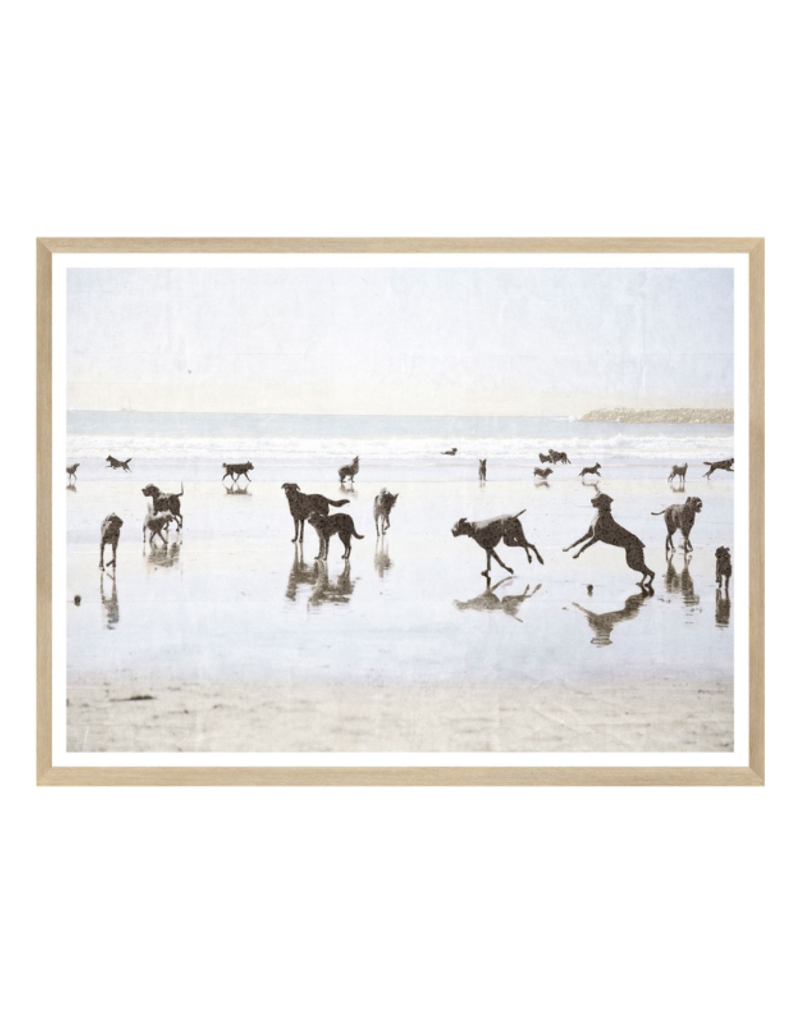 Celadon Art Dog Days at the Beach Large 53"x41"