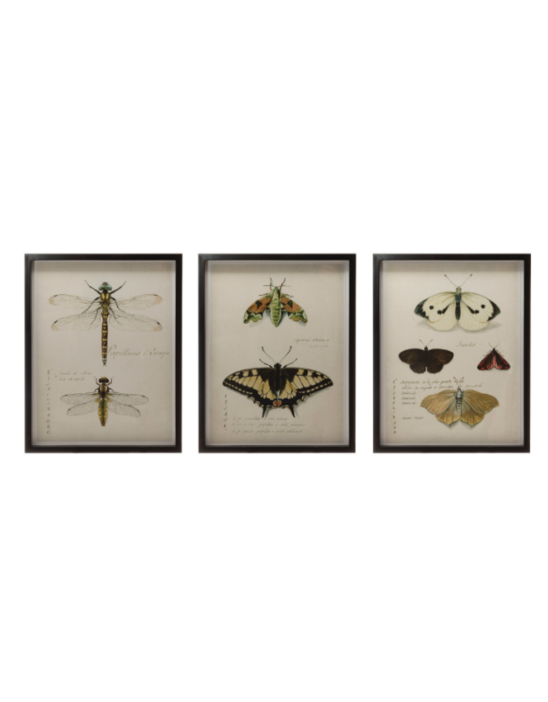 Creative Co-Op Wood Framed Insect Print