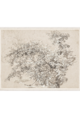 Celadon Art Graphite & Gouache Study 39"x51"