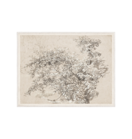 Celadon Art Graphite & Gouache Study 39"x51"