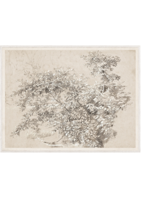 Celadon Art Graphite & Gouache Study 39"x51"