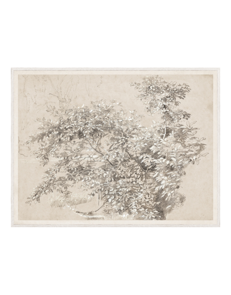 Celadon Art Graphite & Gouache Study 39"x51"