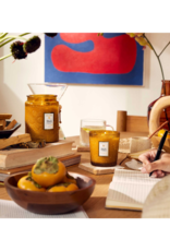 Voluspa 9oz Classic Candle in Baltic Amber by Voluspa