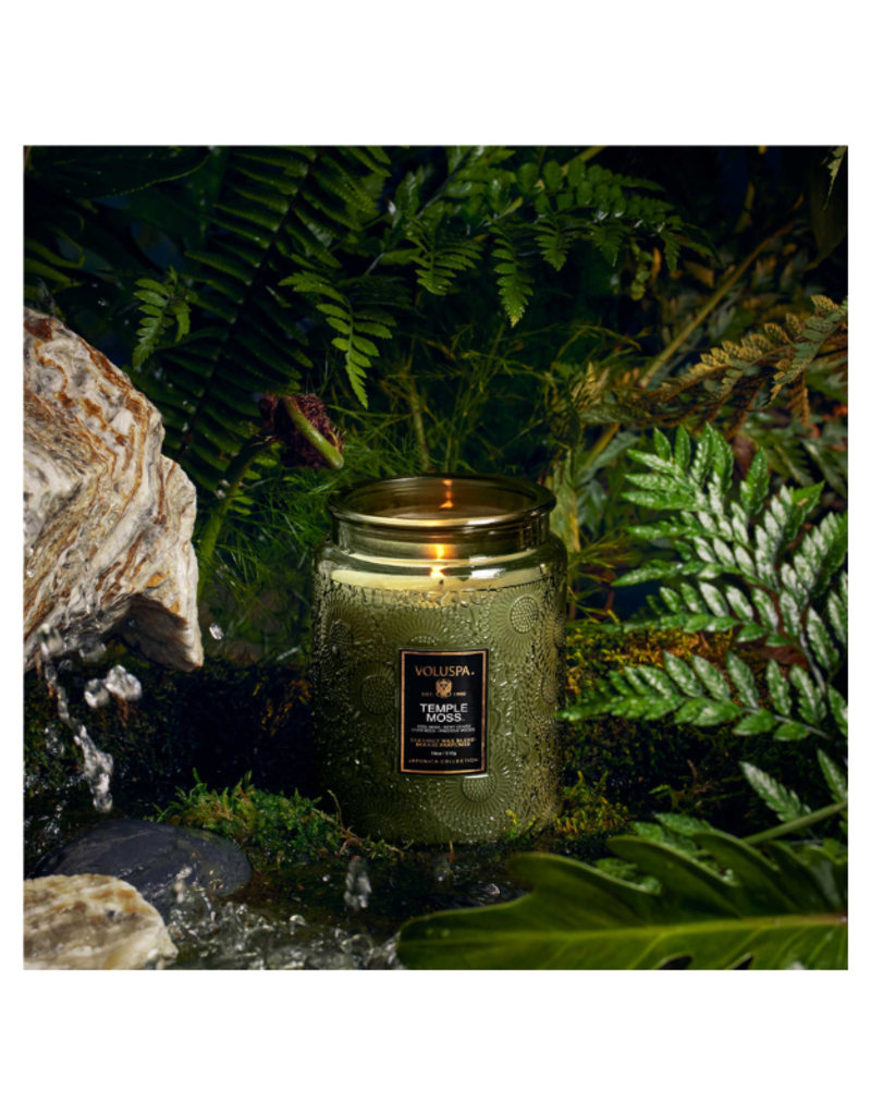 Voluspa 18oz Large Jar Candle in Temple Moss by Voluspa