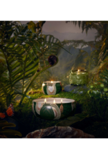 Voluspa Mini Tin Candle in Temple Moss by Voluspa