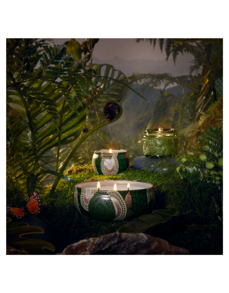 Voluspa Mini Tin Candle in Temple Moss by Voluspa