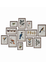 Creative Co-Op Botanical & Bird Wood Framed Prints