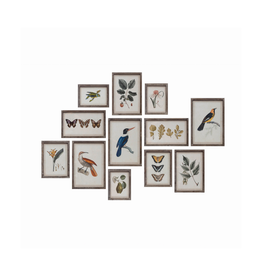 Creative Co-Op Botanical & Bird Wood Framed Prints