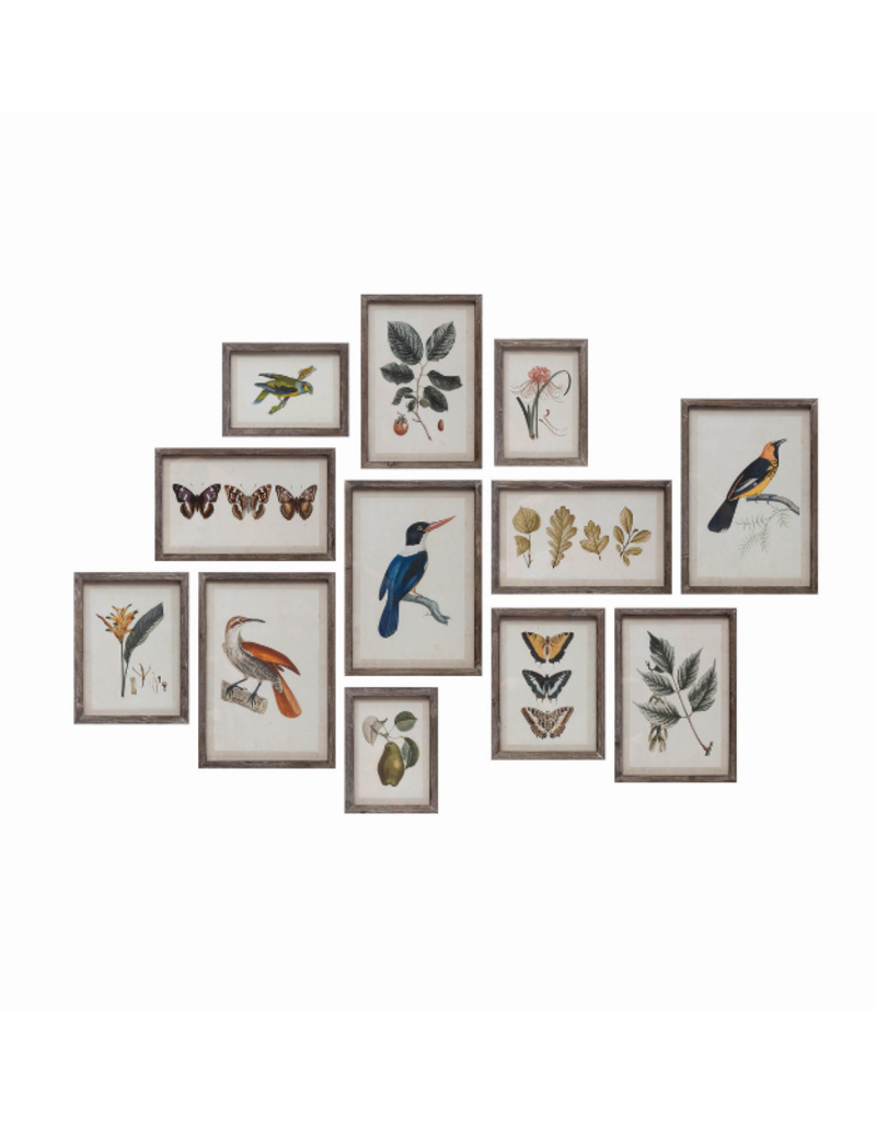 Creative Co-Op Botanical & Bird Wood Framed Prints