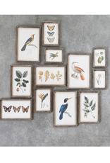 Creative Co-Op Botanical & Bird Wood Framed Prints