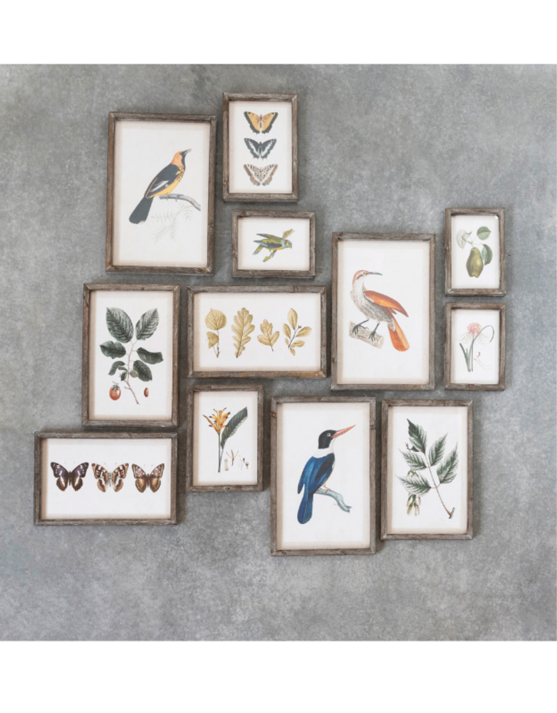 Creative Co-Op Botanical & Bird Wood Framed Prints
