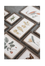 Creative Co-Op Botanical & Bird Wood Framed Prints