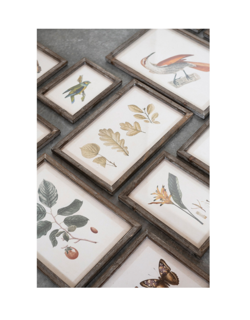 Creative Co-Op Botanical & Bird Wood Framed Prints