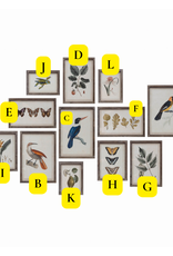 Creative Co-Op Botanical & Bird Wood Framed Prints