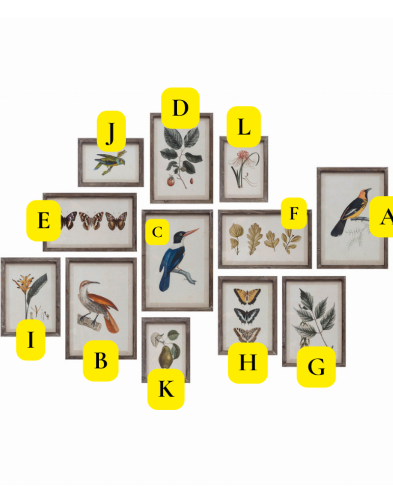 Creative Co-Op Botanical & Bird Wood Framed Prints