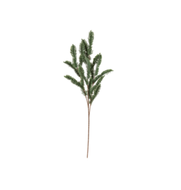 Indaba Trading Pine Sprig
