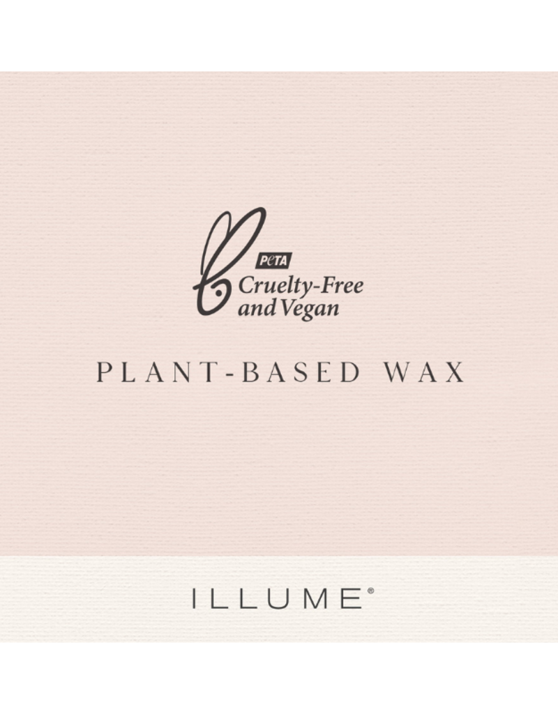 Illume Coconut Milk Mango Glass Artist's Candle