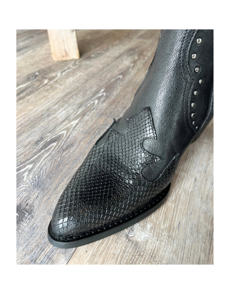 Casta Dawn Cobra Boot in Black by Casta