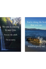 Raincoast Books Disappointing Affirmations: Unfollow Your Dreams! Book