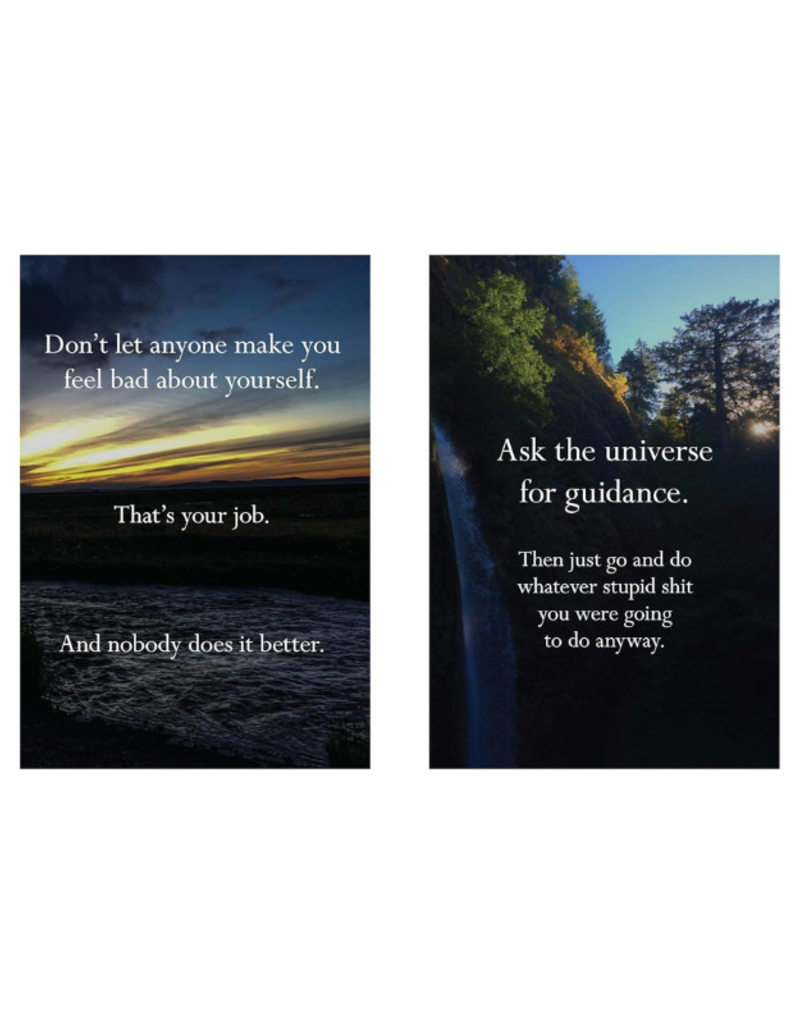Raincoast Books Disappointing Affirmations: Unfollow Your Dreams! Book