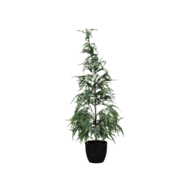 Creative Co-Op Frost Finish Faux Pine Tree in Pot