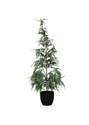 Creative Co-Op Frost Finish Faux Pine Tree in Pot