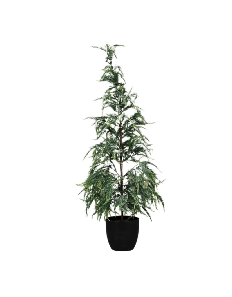 Creative Co-Op Frost Finish Faux Pine Tree in Pot