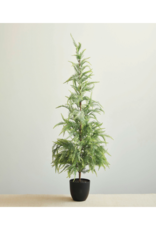 Creative Co-Op Frost Finish Faux Pine Tree in Pot