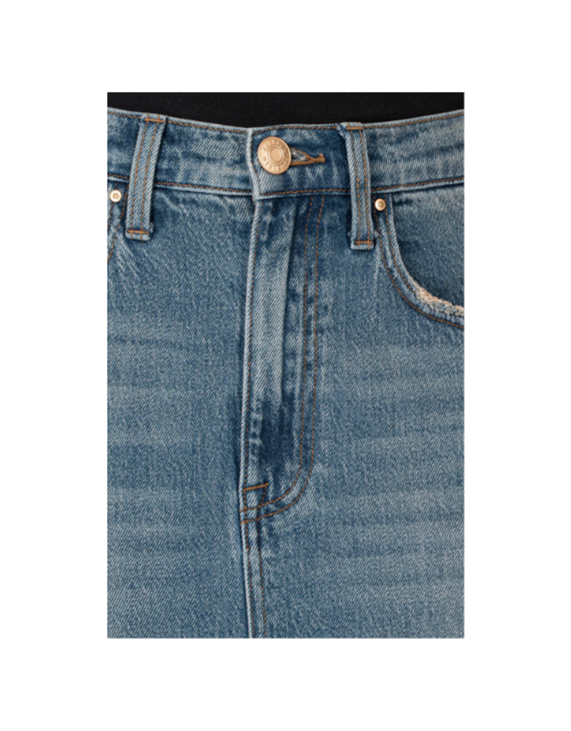 Kut from the Kloth Jen A-Line Skirt in Empowering by Kut from the Kloth