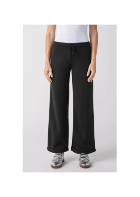 Z Supply Feeling the Moment Sweatpant in Black by Z Supply