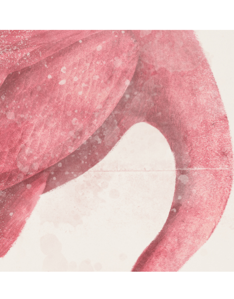 Celadon Art Roseate Aquatics I - 21"x25"