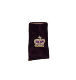 Crown Velvet Eyeglass Case in Burgundy