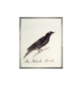 Celadon Art The Black Bird 17"×21"
