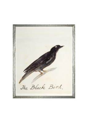 Celadon Art The Black Bird 17"×21"