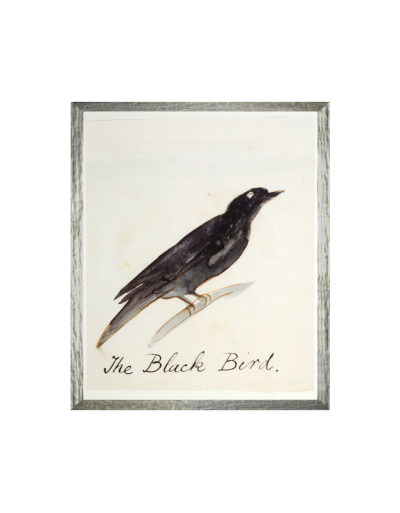 Celadon Art The Black Bird 17"×21"