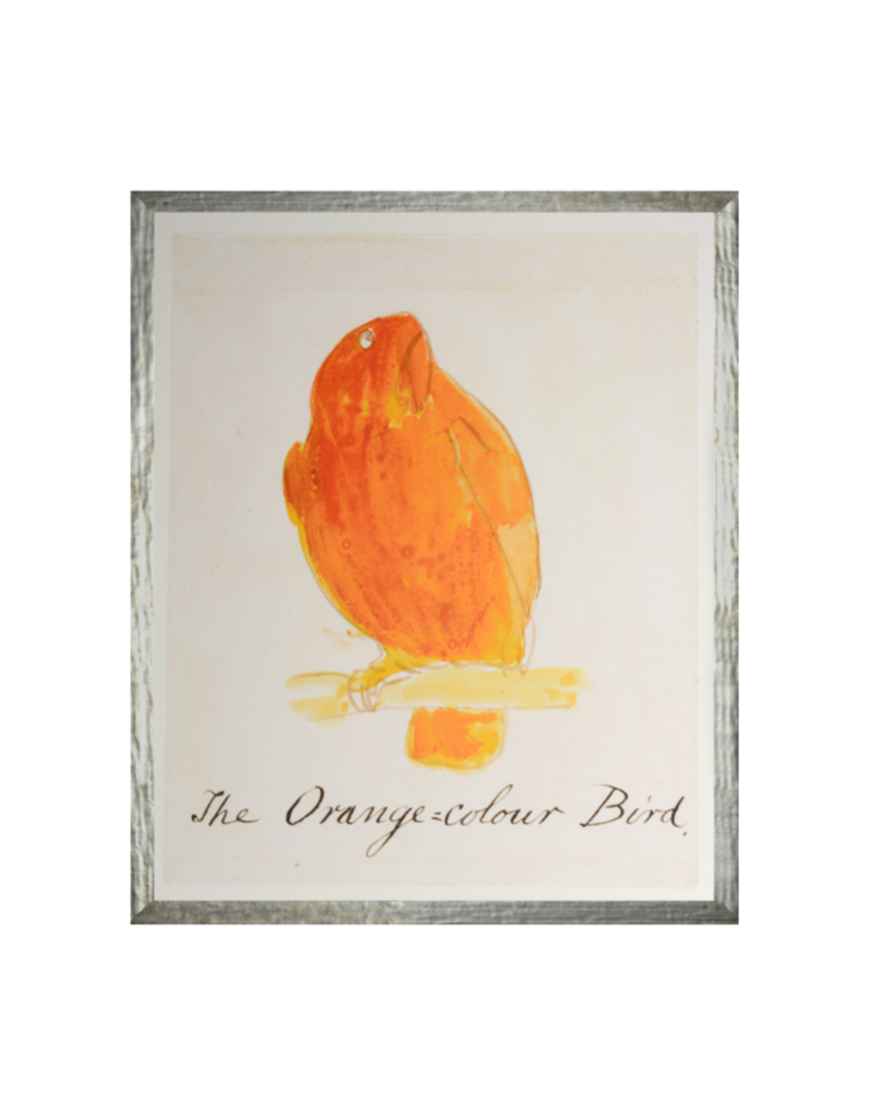 Celadon Art The Orange Bird 17"×21"