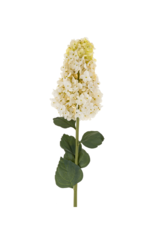 Indaba Trading Hydranges Paniculata Stem
