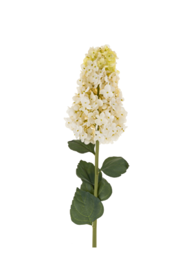 Indaba Trading Hydranges Paniculata Stem