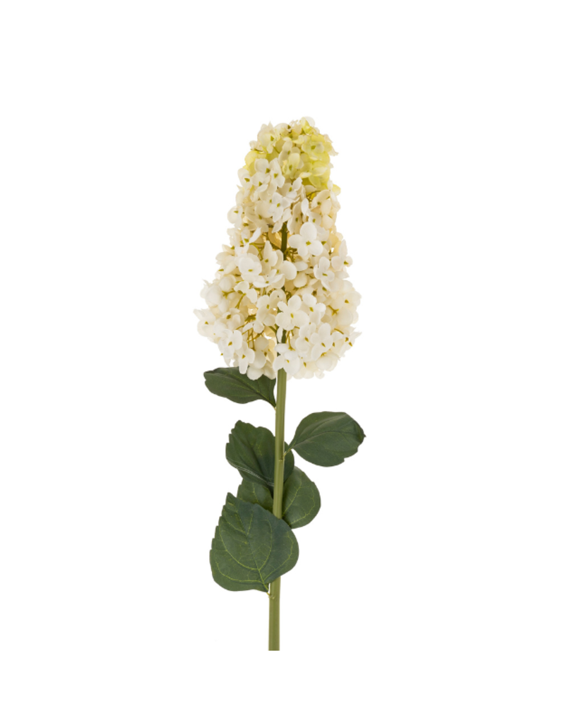Indaba Trading Hydranges Paniculata Stem