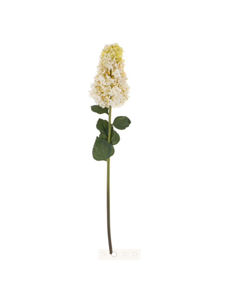 Indaba Trading Hydranges Paniculata Stem