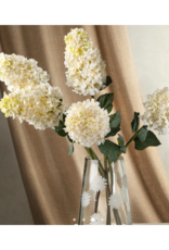 Indaba Trading Hydranges Paniculata Stem