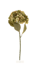 Indaba Trading Faded Hydranges Floral Stem Green