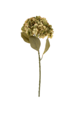 Indaba Trading Faded Hydranges Floral Stem Green