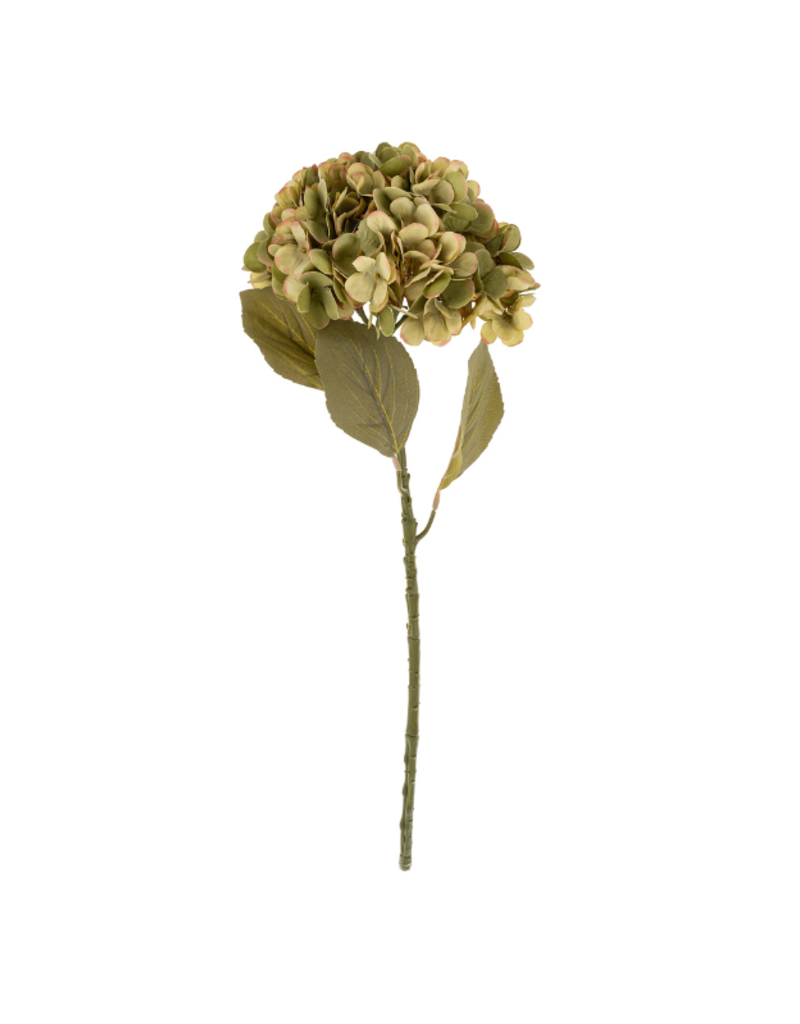 Indaba Trading Faded Hydranges Floral Stem Green