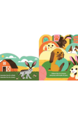 Raincoast Books Some Bunnies Book