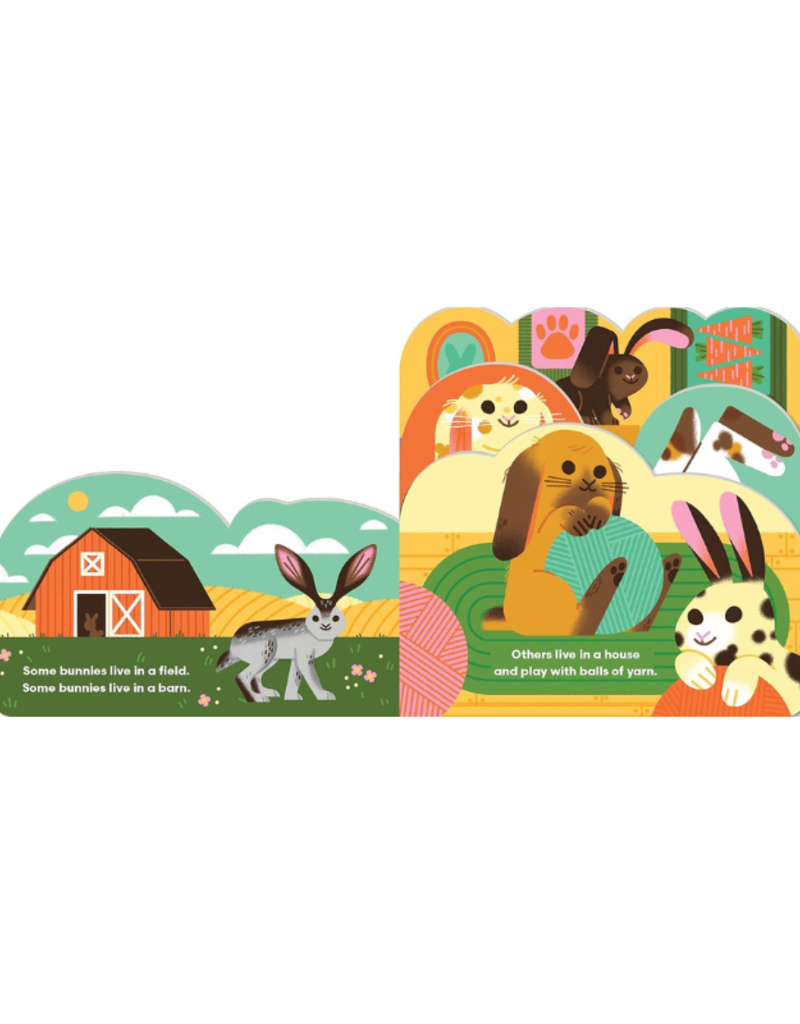 Raincoast Books Some Bunnies Book