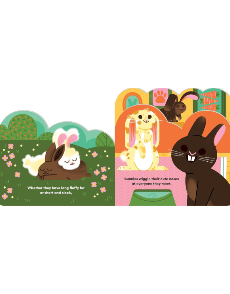 Raincoast Books Some Bunnies Book