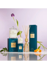 Glasshouse Fragrances Velvet Rhapsody 60g Candle by Glasshouse Fragrances