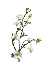 Small Magnolia Flower Spray White 40"