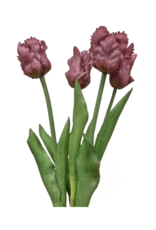 Purple Parrot Tulip Bundle 20"